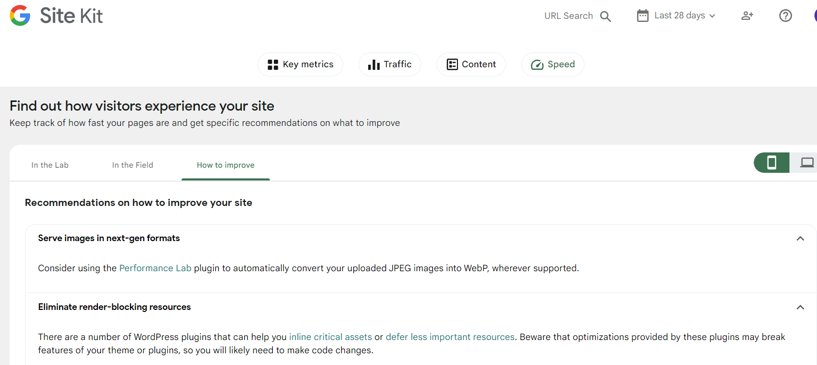 Google Site Kit Speed report example