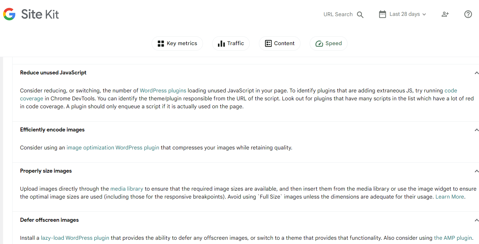 Google Site Kit Speed report example